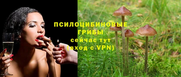 Альфа ПВП Лиски