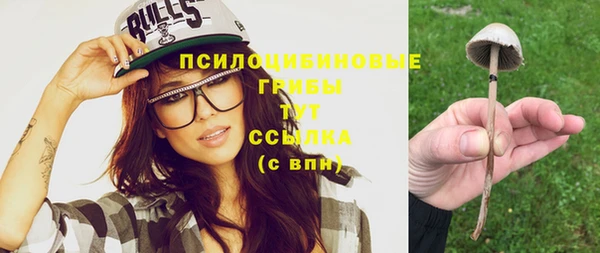 ГАЛЛЮЦИНОГЕННЫЕ ГРИБЫ Липки