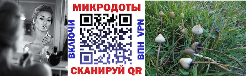 Псилоцибиновые грибы MAGIC MUSHROOMS  ссылка на мегу ссылка  Сосновоборск  где купить наркоту 